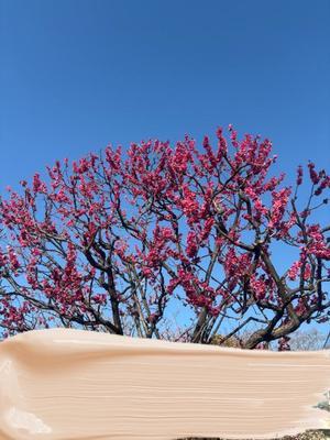 乃木風香の写メ日記｜ハールブルク 吉原高級店ソープ