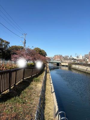 乃木風香の写メ日記｜ハールブルク 吉原高級店ソープ