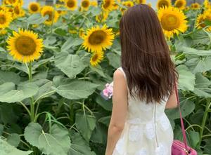双葉あかりの写メ日記｜ハールブルク 吉原高級店ソープ