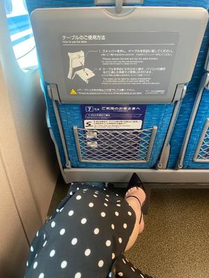 叶 麗花の写メ日記｜ハールブルク 吉原高級店ソープ