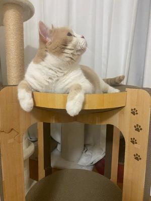 叶 麗花の写メ日記｜ハールブルク 吉原高級店ソープ