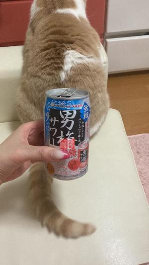 叶 麗花の写メ日記｜ハールブルク 吉原高級店ソープ