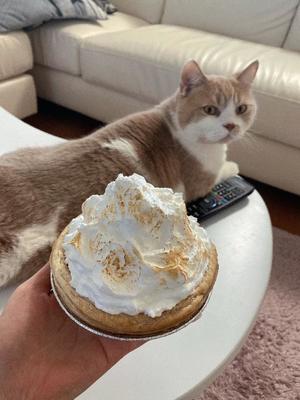 叶 麗花の写メ日記｜ハールブルク 吉原高級店ソープ