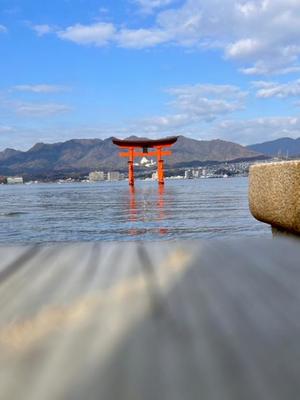 五月あいりの写メ日記｜ハールブルク 吉原高級店ソープ