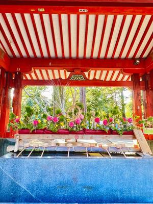 五月あいりの写メ日記｜ハールブルク 吉原高級店ソープ