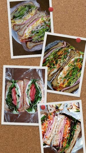 白鷺さらの写メ日記｜ハールブルク 吉原高級店ソープ