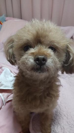 白鷺さらの写メ日記|ハールブルク 吉原高級店ソープ