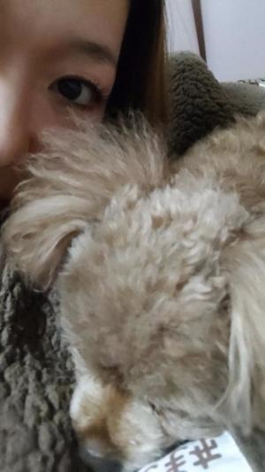 白鷺さらの写メ日記｜ハールブルク 吉原高級店ソープ