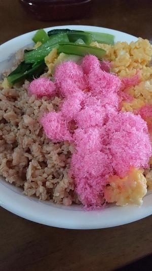 白鷺さらの写メ日記｜ハールブルク 吉原高級店ソープ