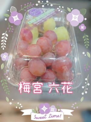 梅宮六花の写メ日記｜ハールブルク 吉原高級店ソープ