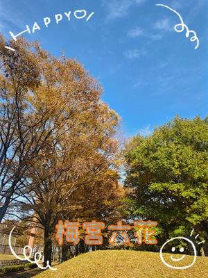 梅宮六花の写メ日記｜ハールブルク 吉原高級店ソープ