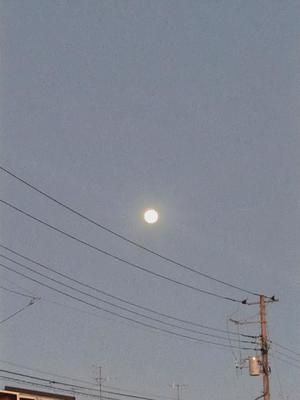 梅宮六花の写メ日記｜ハールブルク 吉原高級店ソープ