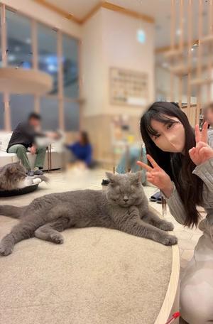 夢藤佑実の写メ日記｜ハールブルク 吉原高級店ソープ