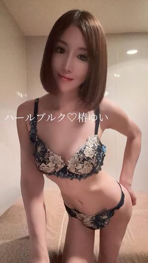 椿 ゆいの写メ日記｜ハールブルク 吉原高級店ソープ