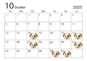 みさとの写メ日記｜秘書室 吉原高級店ソープ