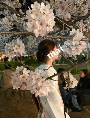 まいの写メ日記｜女帝 吉原高級店ソープ