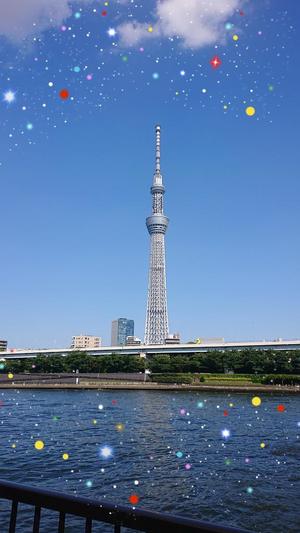 つむぎの写メ日記｜ラビアンローズ 吉原高級店ソープ