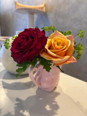 姫桃ももの写メ日記｜ラビアンローズ 吉原高級店ソープ