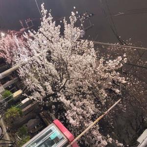 りとの写メ日記｜ラビアンローズ 吉原高級店ソープ