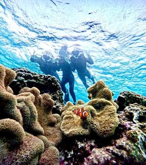 若菜の写メ日記｜ラビアンローズ 吉原高級店ソープ