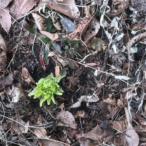 ナギの写メ日記｜ラブ&ピース 埼玉県・大宮格安店ソープ