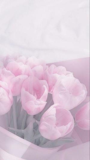 ななせの写メ日記｜ルピナス 吉原高級店ソープ