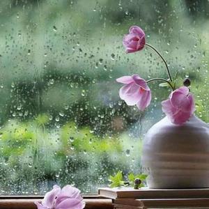 ななせの写メ日記｜ルピナス 吉原高級店ソープ