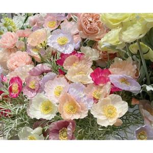 あきの写メ日記｜ルピナス 吉原高級店ソープ