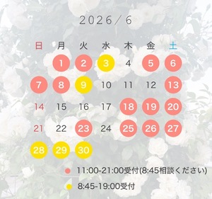 Kokonaの写メ日記｜ラグジュアリー 吉原高級店ソープ