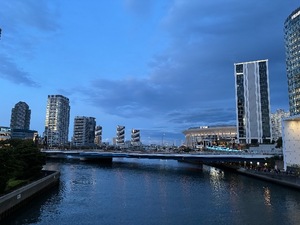 Koyukiの写メ日記｜ラグジュアリー 吉原高級店ソープ