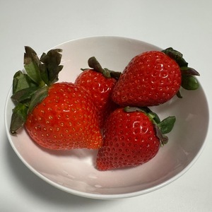 Ioriの写メ日記｜ラグジュアリー 吉原高級店ソープ