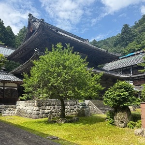 Hiyoriの写メ日記｜ラグジュアリー 吉原高級店ソープ