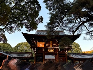 Mikuriの写メ日記｜ラグジュアリー 吉原高級店ソープ