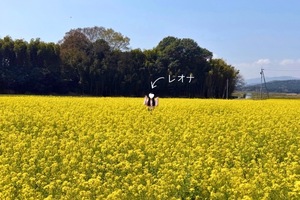 Leonaの写メ日記｜ラグジュアリー 吉原高級店ソープ