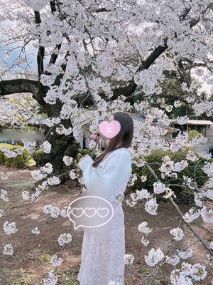 Kurumiの写メ日記｜ラグジュアリー 吉原高級店ソープ