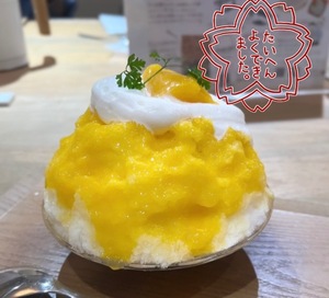 Erenaの写メ日記｜ラグジュアリー 吉原高級店ソープ