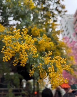 Raraの写メ日記｜ラグジュアリー 吉原高級店ソープ