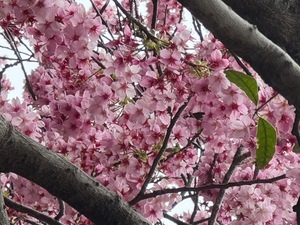 Raraの写メ日記｜ラグジュアリー 吉原高級店ソープ