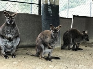 Otoの写メ日記｜ラグジュアリー 吉原高級店ソープ