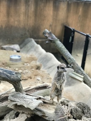 Otoの写メ日記｜ラグジュアリー 吉原高級店ソープ