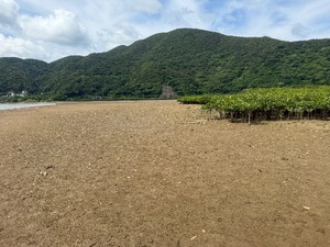 Otoの写メ日記｜ラグジュアリー 吉原高級店ソープ
