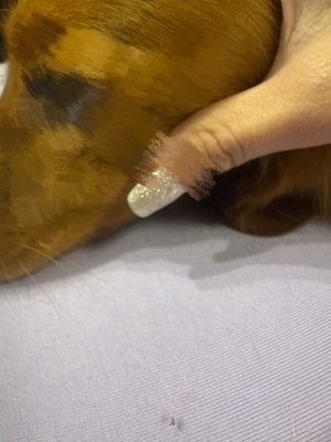 Yumiの写メ日記｜ラグジュアリー 吉原高級店ソープ