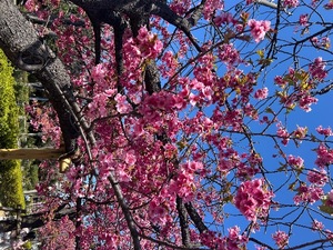 Karenの写メ日記｜ラグジュアリー 吉原高級店ソープ