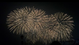 Juriの写メ日記｜ラグジュアリー 吉原高級店ソープ