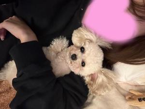Serenaの写メ日記｜ラグジュアリー 吉原高級店ソープ