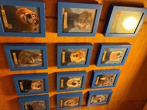 Chihiroの写メ日記｜ラグジュアリー 吉原高級店ソープ