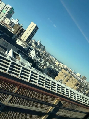 椿の写メ日記｜聖女～マリア～ 吉原高級店ソープ