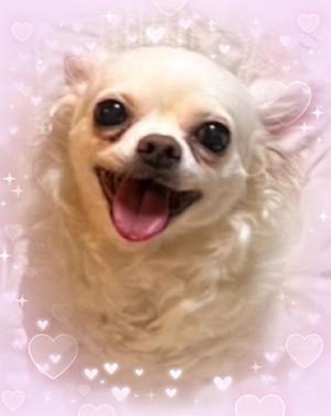 一条光の写メ日記｜オペラ 吉原高級店ソープ