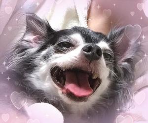 一条光の写メ日記｜オペラ 吉原高級店ソープ