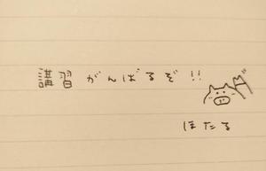 ほたるの写メ日記｜オペラ 吉原高級店ソープ